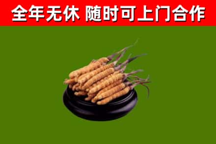 盂县烟酒回收冬虫夏草.jpg